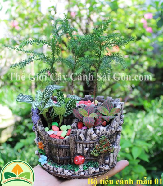 Bộ tiểu cảnh mẫu 01