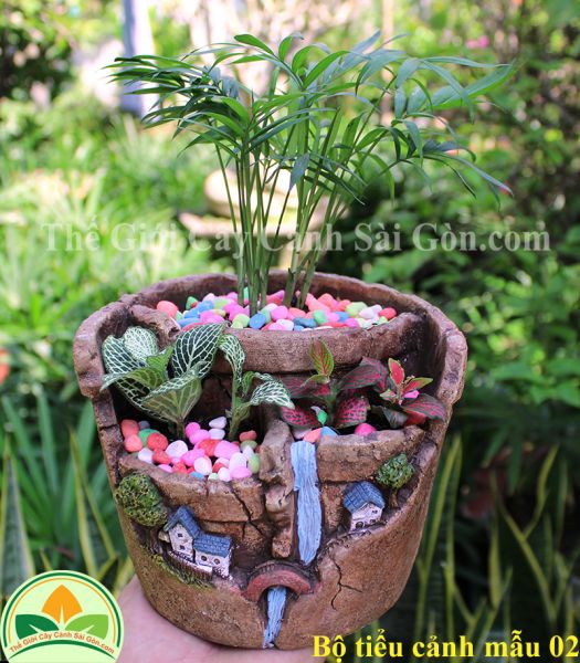 Bộ tiểu cảnh mẫu 02