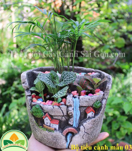 Bộ tiểu cảnh mẫu 03