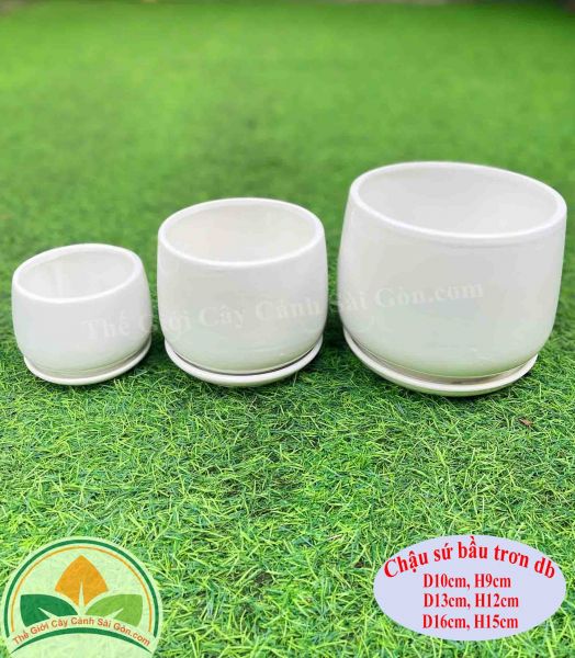 Chậu sứ để bàn kiểu bầu