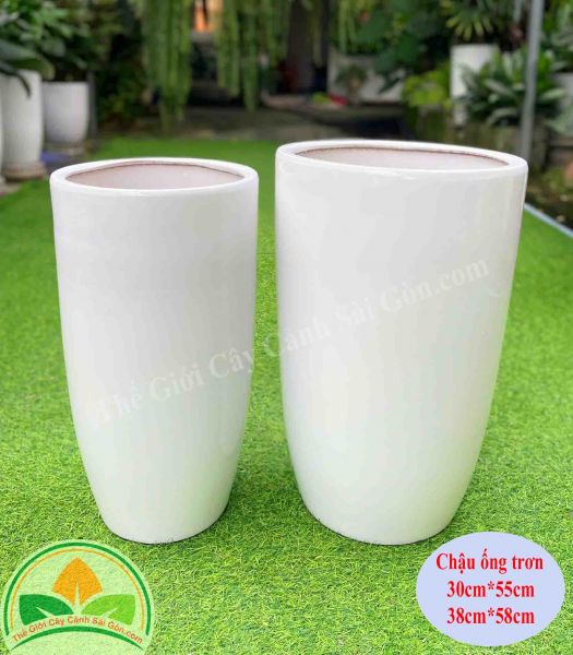 Chậu sứ ống trơn