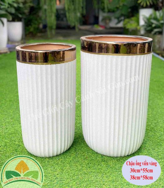 Chậu sứ ống viền vàng