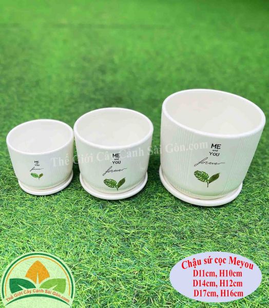 Chậu sứ tròn vát để bàn