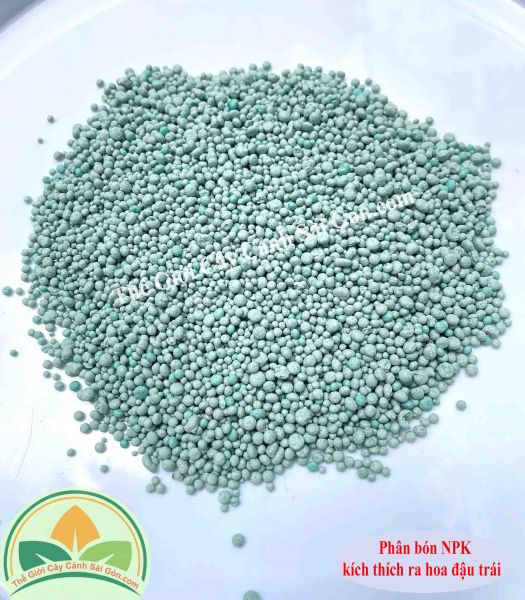 Phân NPK Kích Thích ra hoa đậu trái 1kg