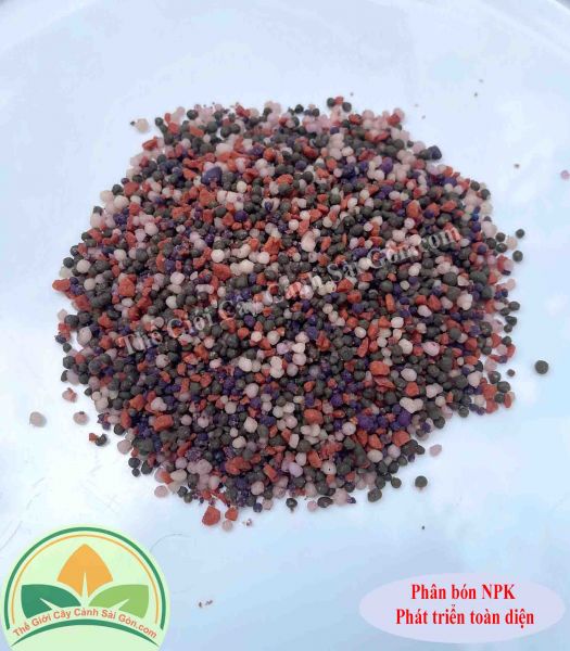 Phân NPK phát triển toàn diện 1kg
